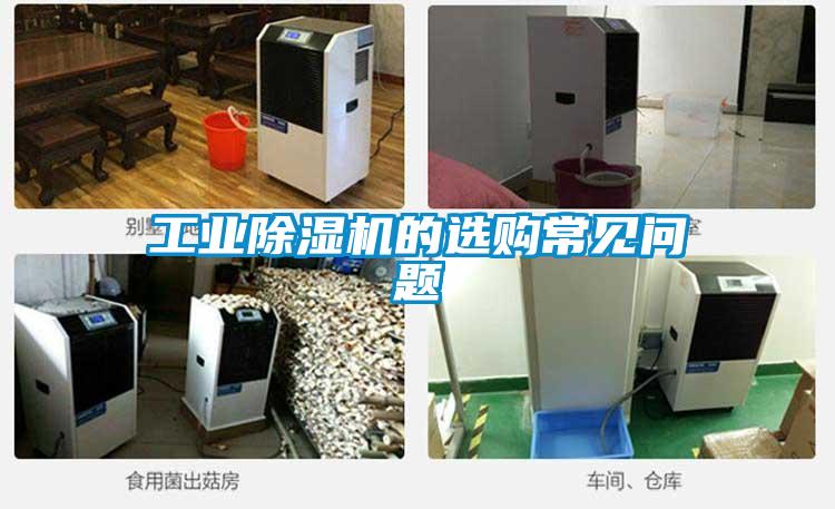 工業(yè)除濕機(jī)的選購常見問題
