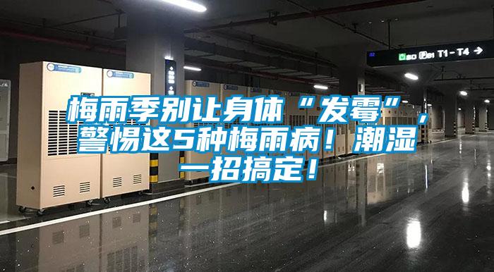 梅雨季別讓身體“發(fā)霉”，警惕這5種梅雨病！潮濕一招搞定！