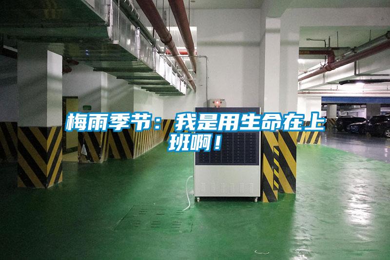 梅雨季節(jié)：我是用生命在上班??！