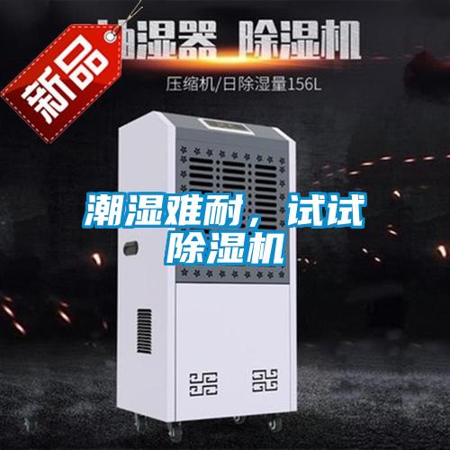 潮濕難耐，試試除濕機(jī)