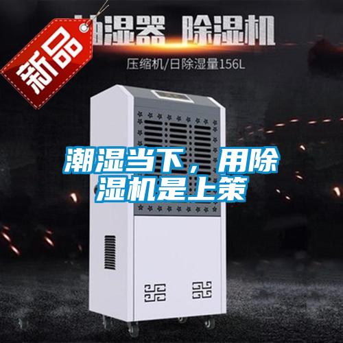潮濕當下，用除濕機是上策