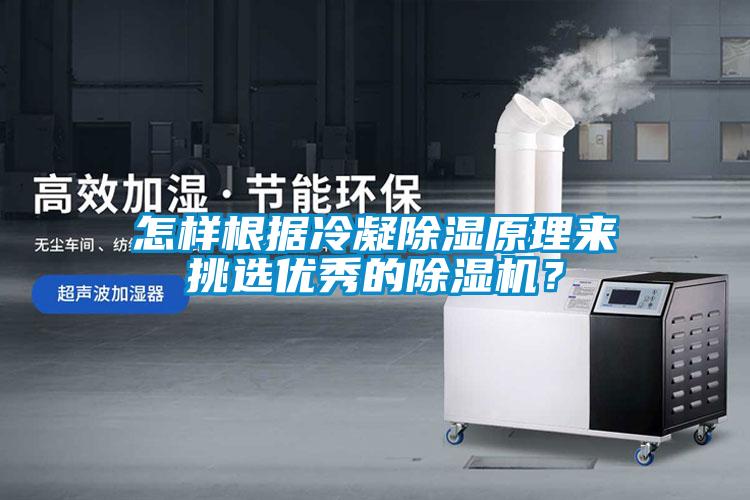 怎樣根據冷凝除濕原理來挑選優(yōu)秀的除濕機？