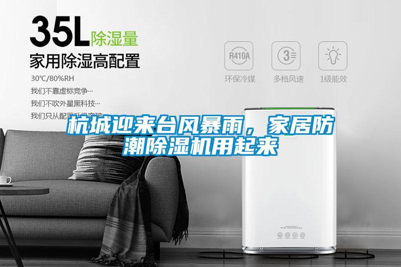 杭城迎來臺(tái)風(fēng)暴雨，家居防潮除濕機(jī)用起來