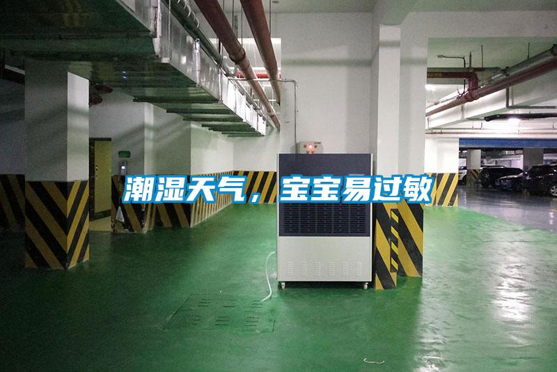 潮濕天氣，寶寶易過敏
