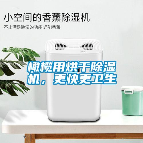 橄欖用烘干除濕機(jī)，更快更衛(wèi)生