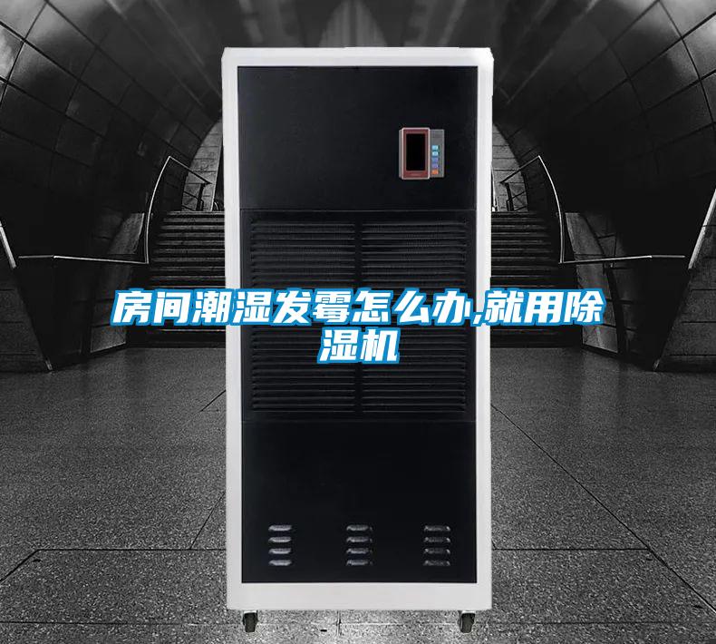 房間潮濕發(fā)霉怎么辦,就用除濕機