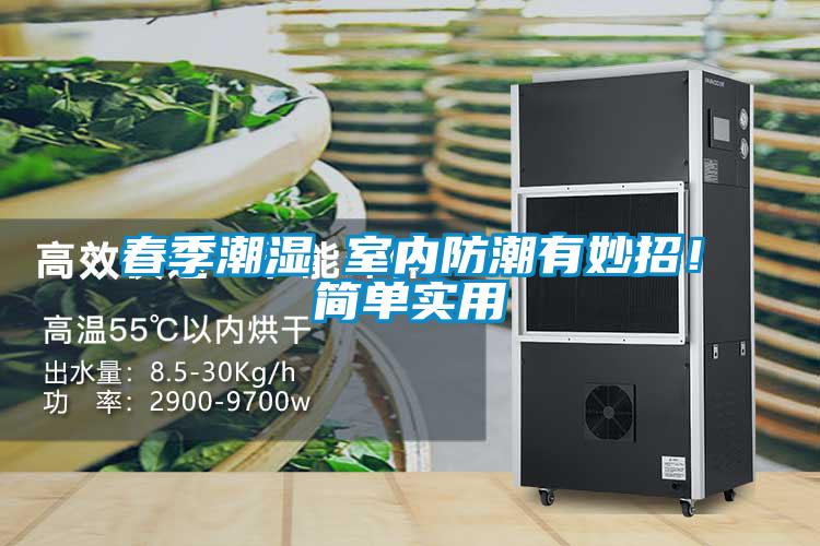 春季潮濕 室內(nèi)防潮有妙招！簡單實用