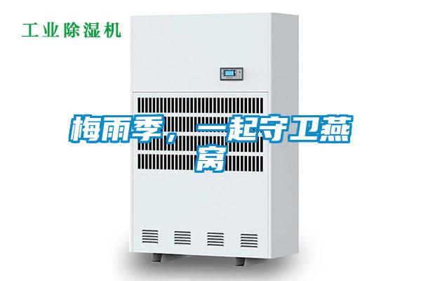 梅雨季，一起守衛(wèi)燕窩
