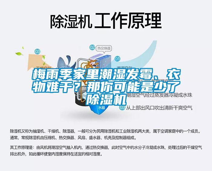 梅雨季家里潮濕發(fā)霉、衣物難干？那你可能是少了除濕機