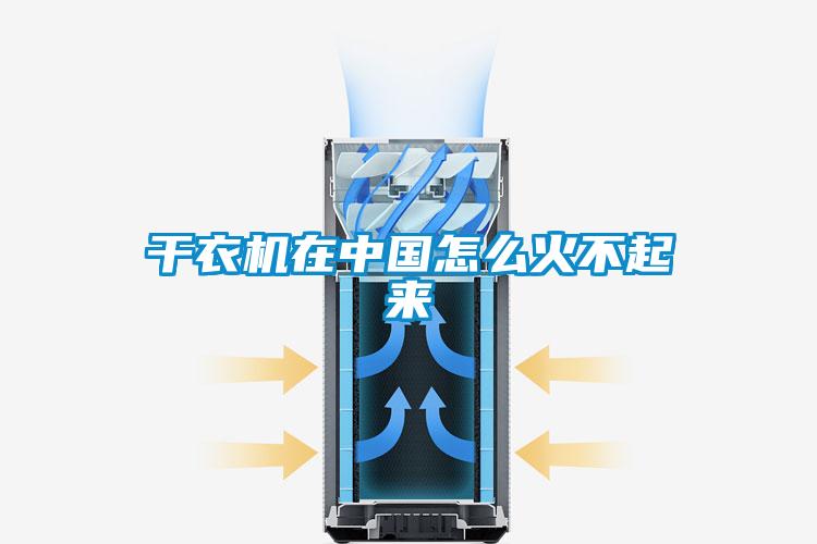 干衣機在中國怎么火不起來