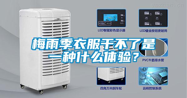 梅雨季衣服干不了是一種什么體驗？
