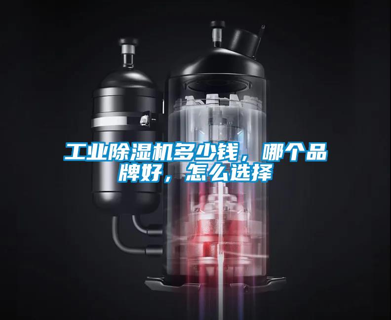 工業(yè)除濕機(jī)多少錢，哪個(gè)品牌好，怎么選擇