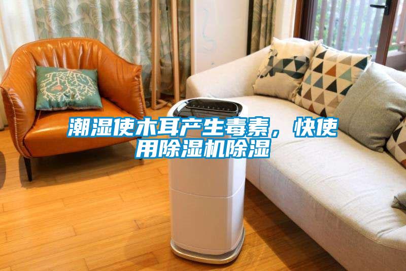 潮濕使木耳產(chǎn)生毒素，快使用除濕機(jī)除濕