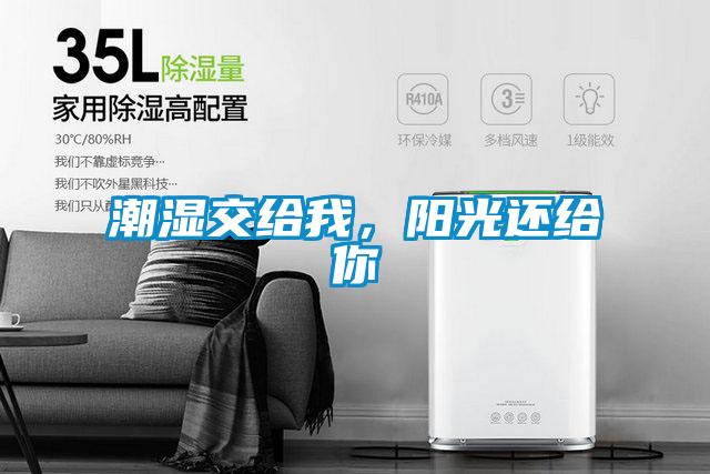 潮濕交給我，陽光還給你