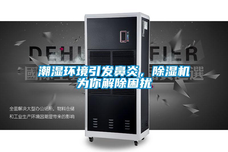 潮濕環(huán)境引發(fā)鼻炎，除濕機(jī)為你解除困擾