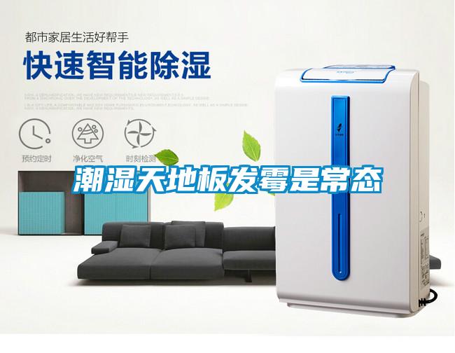 潮濕天地板發(fā)霉是常態(tài)
