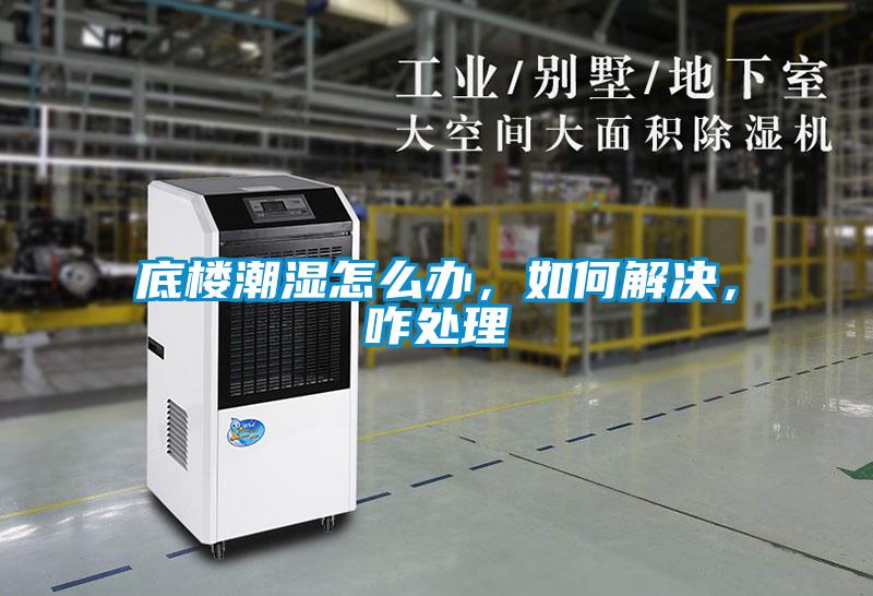 底樓潮濕怎么辦，如何解決，咋處理