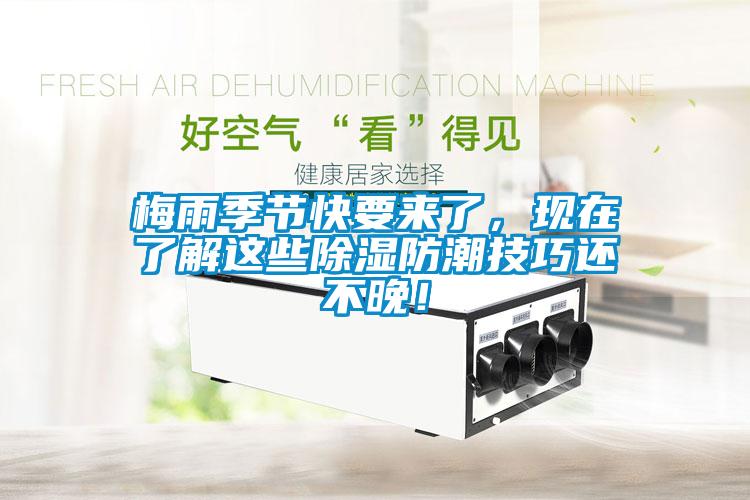 梅雨季節(jié)快要來了，現(xiàn)在了解這些除濕防潮技巧還不晚！