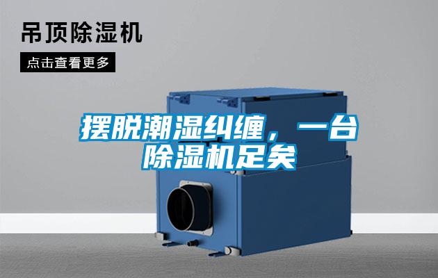 擺脫潮濕糾纏，一臺除濕機足矣