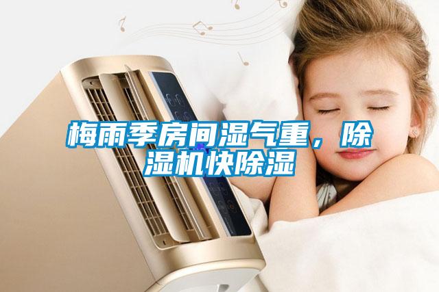 梅雨季房間濕氣重，除濕機快除濕