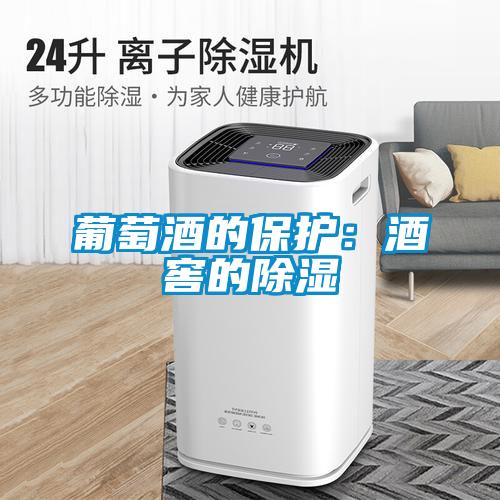 葡萄酒的保護(hù)：酒窖的除濕