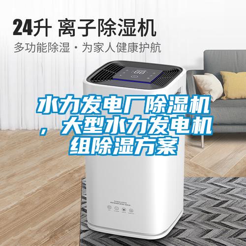 水力發(fā)電廠(chǎng)除濕機(jī)，大型水力發(fā)電機(jī)組除濕方案