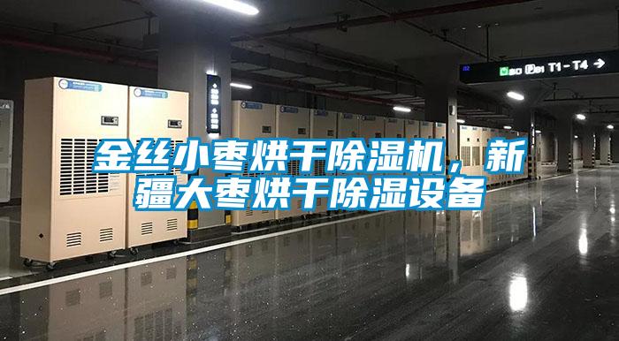 金絲小棗烘干除濕機，新疆大棗烘干除濕設(shè)備