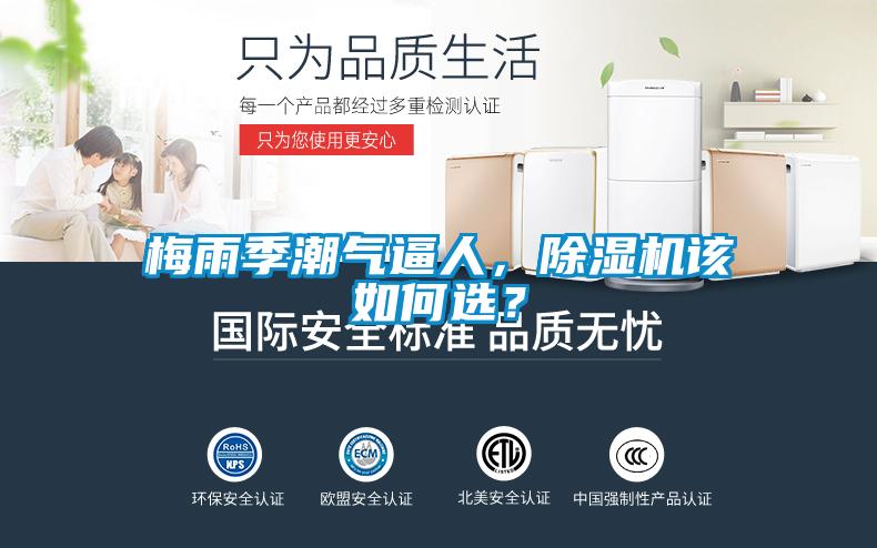 梅雨季潮氣逼人，除濕機(jī)該如何選？