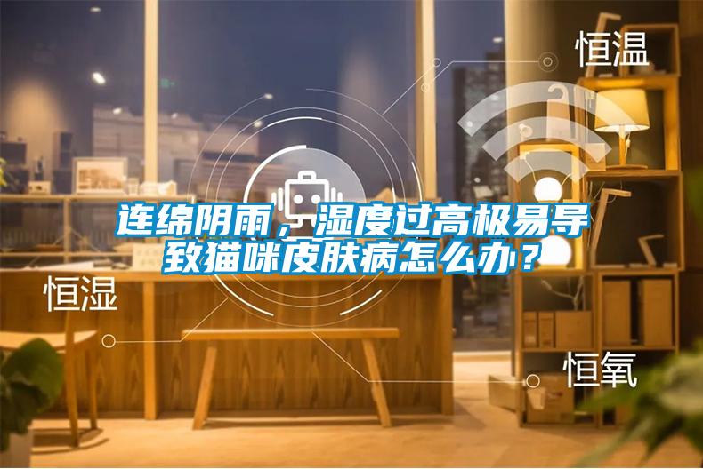 連綿陰雨，濕度過高極易導(dǎo)致貓咪皮膚病怎么辦？