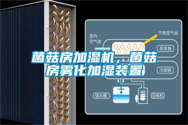 菌菇房加濕機(jī)，菌菇房霧化加濕裝置