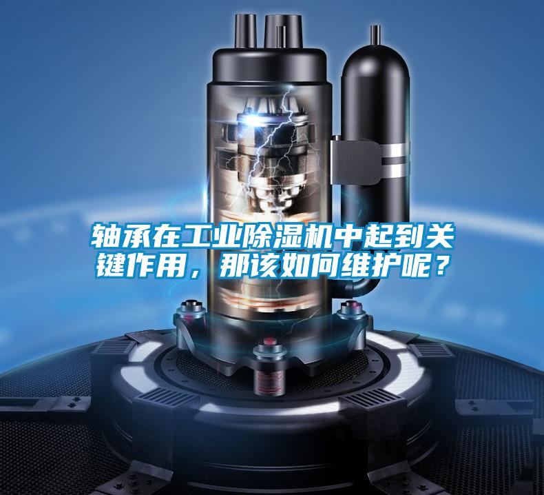 軸承在工業(yè)除濕機中起到關(guān)鍵作用，那該如何維護呢？