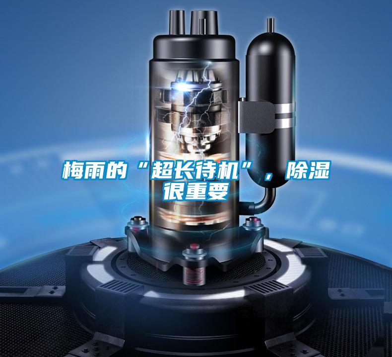 梅雨的“超長待機(jī)”，除濕很重要