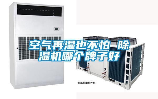 空氣再濕也不怕 除濕機哪個牌子好
