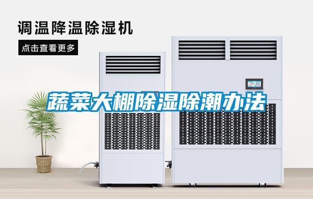 蔬菜大棚除濕除潮辦法