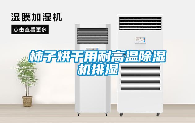 柿子烘干用耐高溫除濕機排濕