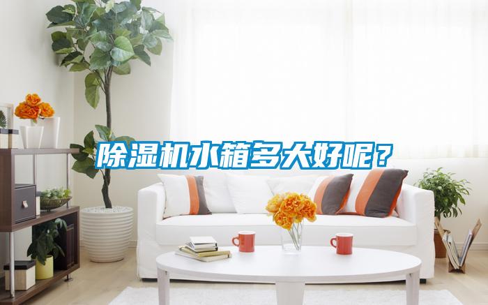 除濕機(jī)水箱多大好呢？