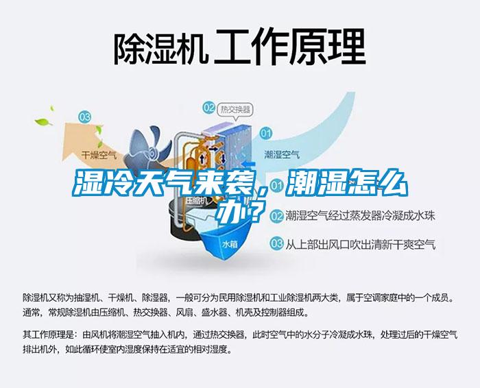 濕冷天氣來(lái)襲，潮濕怎么辦？
