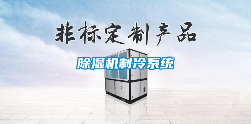除濕機制冷系統(tǒng)