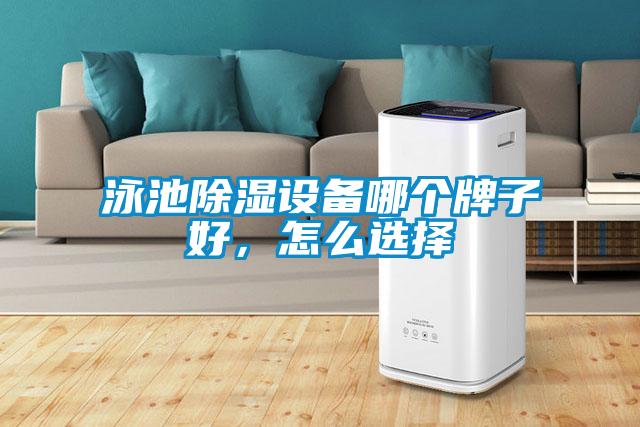 泳池除濕設(shè)備哪個(gè)牌子好，怎么選擇