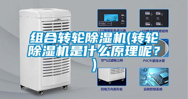 組合轉(zhuǎn)輪除濕機(jī)(轉(zhuǎn)輪除濕機(jī)是什么原理呢？)