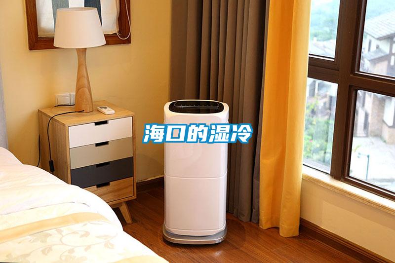 海口的濕冷