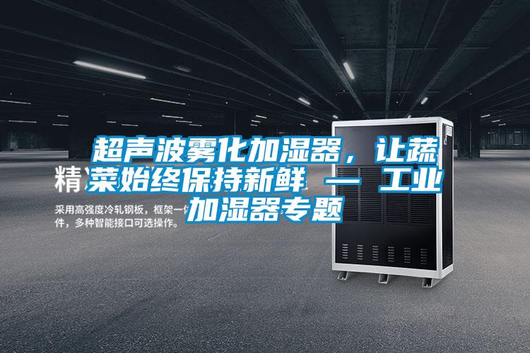 超聲波霧化加濕器，讓蔬菜始終保持新鮮 — 工業(yè)加濕器專題