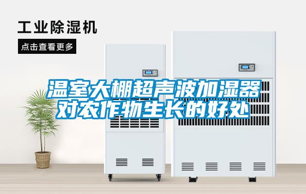 溫室大棚超聲波加濕器對(duì)農(nóng)作物生長(zhǎng)的好處