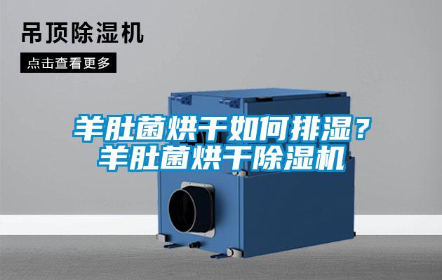 羊肚菌烘干如何排濕？羊肚菌烘干除濕機(jī)