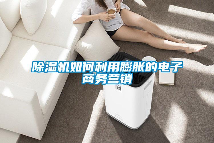 除濕機(jī)如何利用膨脹的電子商務(wù)營(yíng)銷