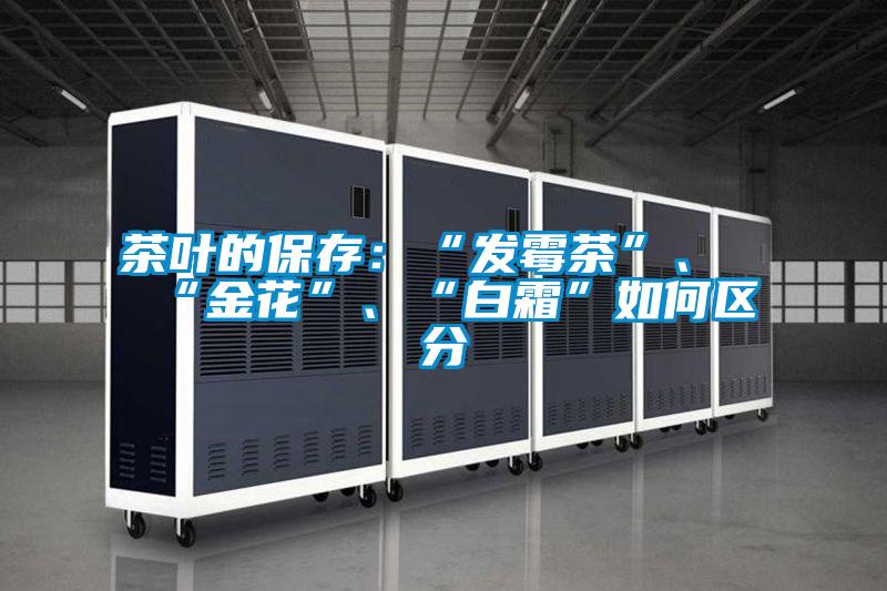 茶葉的保存：“發(fā)霉茶”、“金花”、“白霜”如何區(qū)分