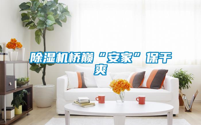 除濕機(jī)橋巔“安家”保干爽