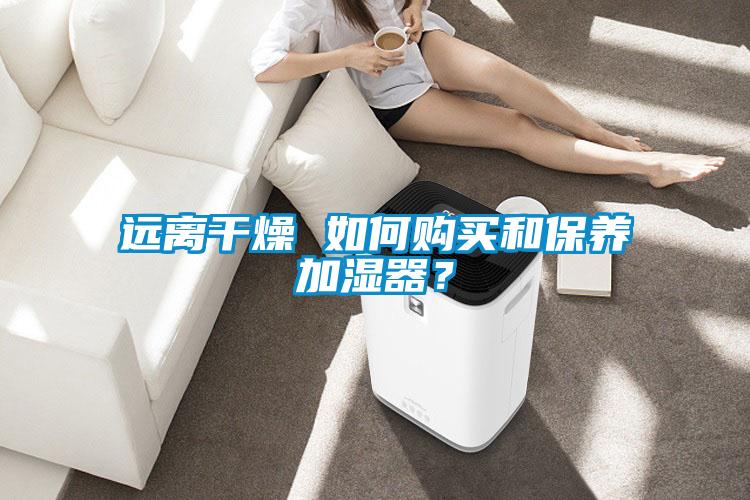 遠(yuǎn)離干燥 如何購買和保養(yǎng)加濕器？
