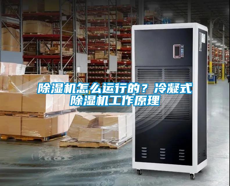 除濕機(jī)怎么運(yùn)行的？冷凝式除濕機(jī)工作原理