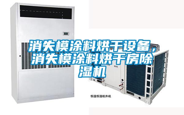 消失模涂料烘干設(shè)備，消失模涂料烘干房除濕機(jī)